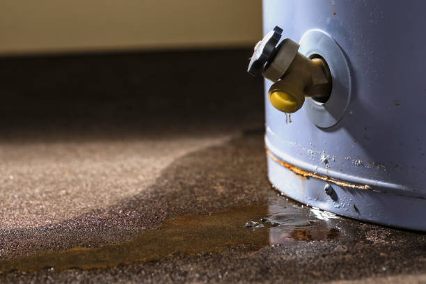 Best Local water damage restoration  in Wilkesboro, NC