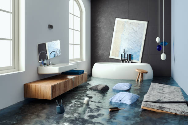Water damage restoration mold remediation in NC