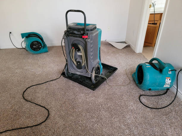 Best Ceiling water damage repair  in Wilkesboro, NC