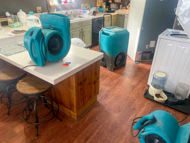 Best Mold removal after water damage  in Wilkesboro, NC