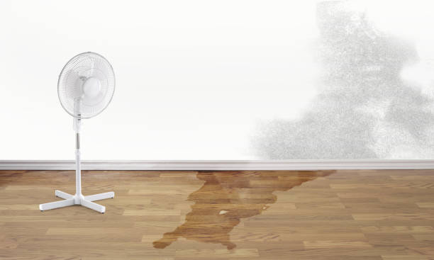  Wilkesboro, NC Water damage restoration Pros
