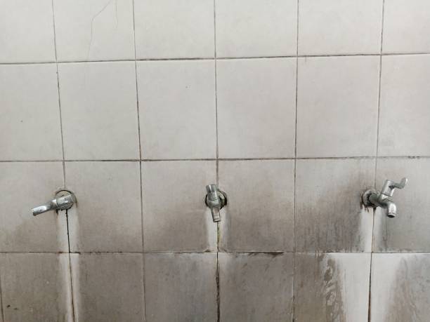 Best Carpet water damage restoration  in Wilkesboro, NC