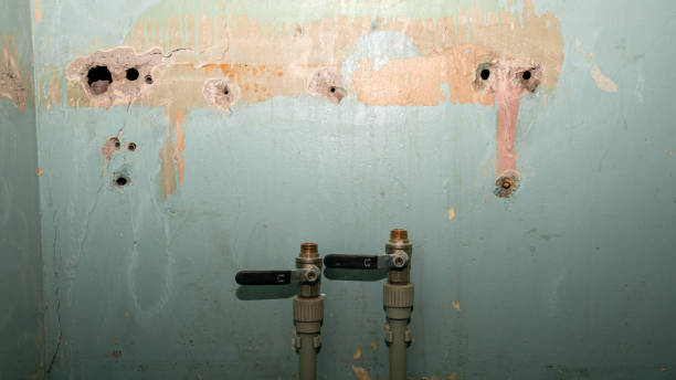 Best Water damage cleanup near me  in Wilkesboro, NC
