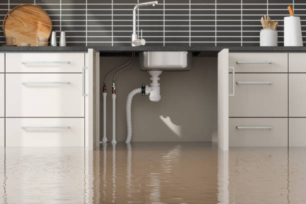 Best Water damage restoration near me  in Wilkesboro, NC