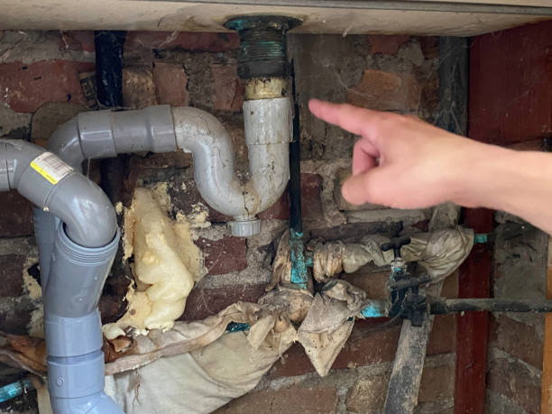 Best Water damage cleanup near me  in Wilkesboro, NC