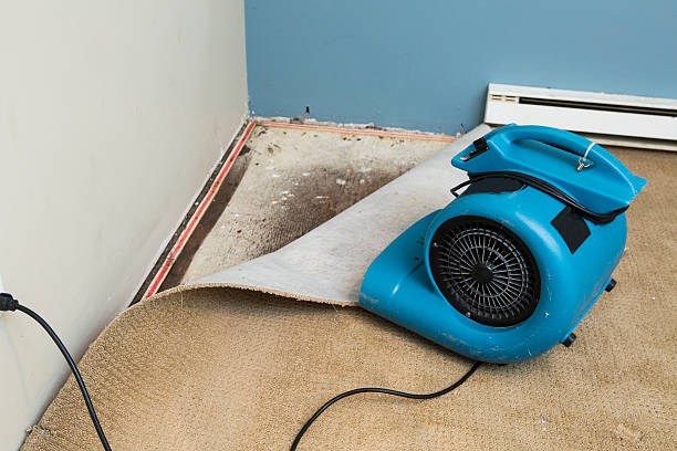 Best Residential water damage restoration  in Wilkesboro, NC