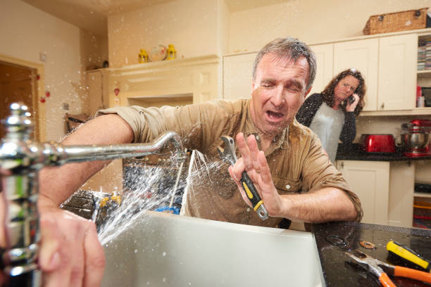 Best Mold removal after water damage  in Wilkesboro, NC